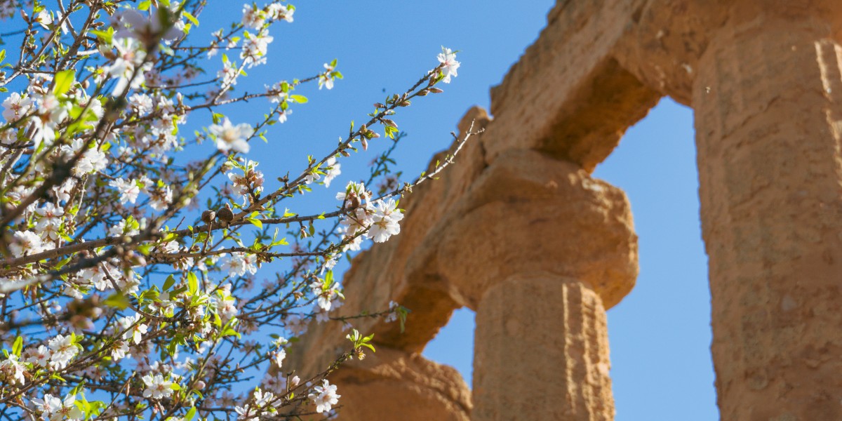 Quali sono le province di Sicilia