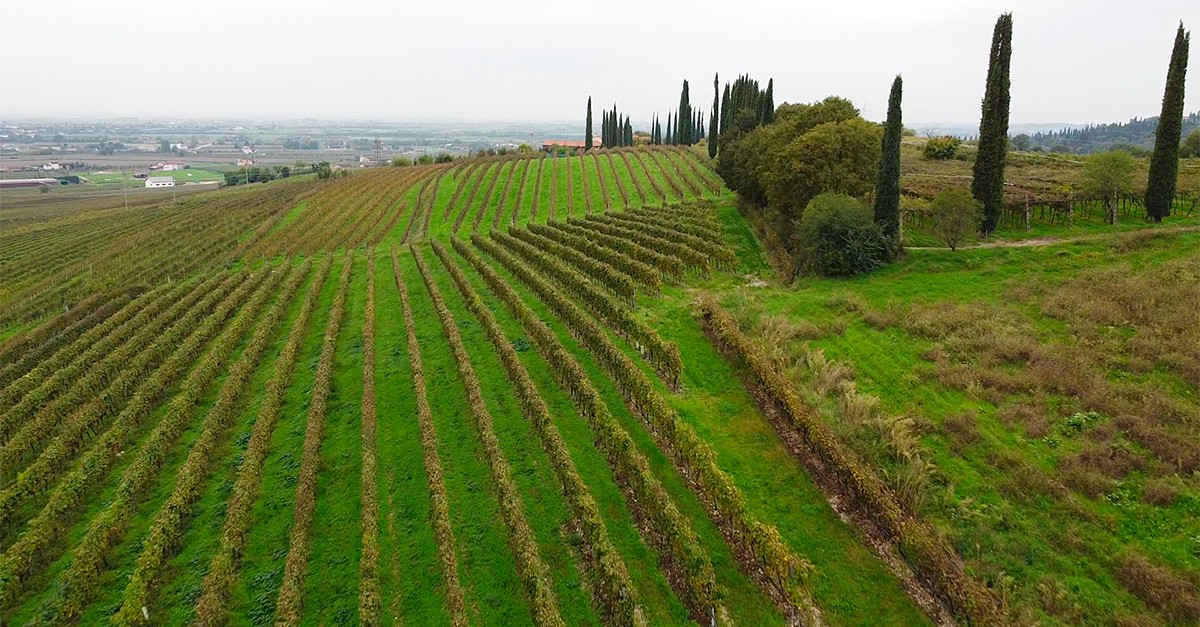 Tamburino Sardo