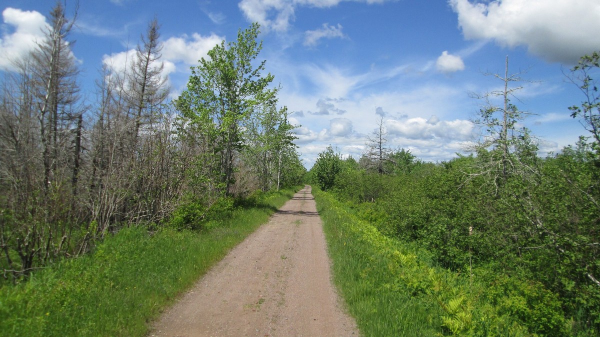pista ciclabile piu lunga al mondo
