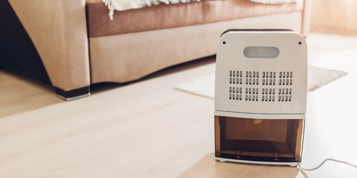 come scegliere il deumidificatore per la casa