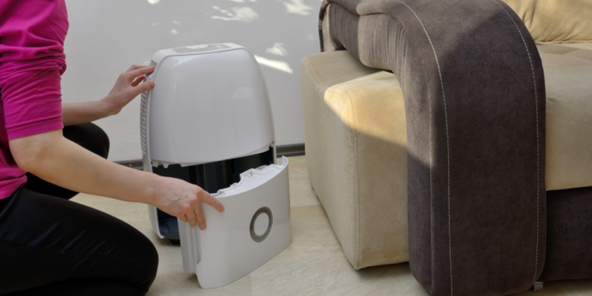 come scegliere il deumidificatore per la casa