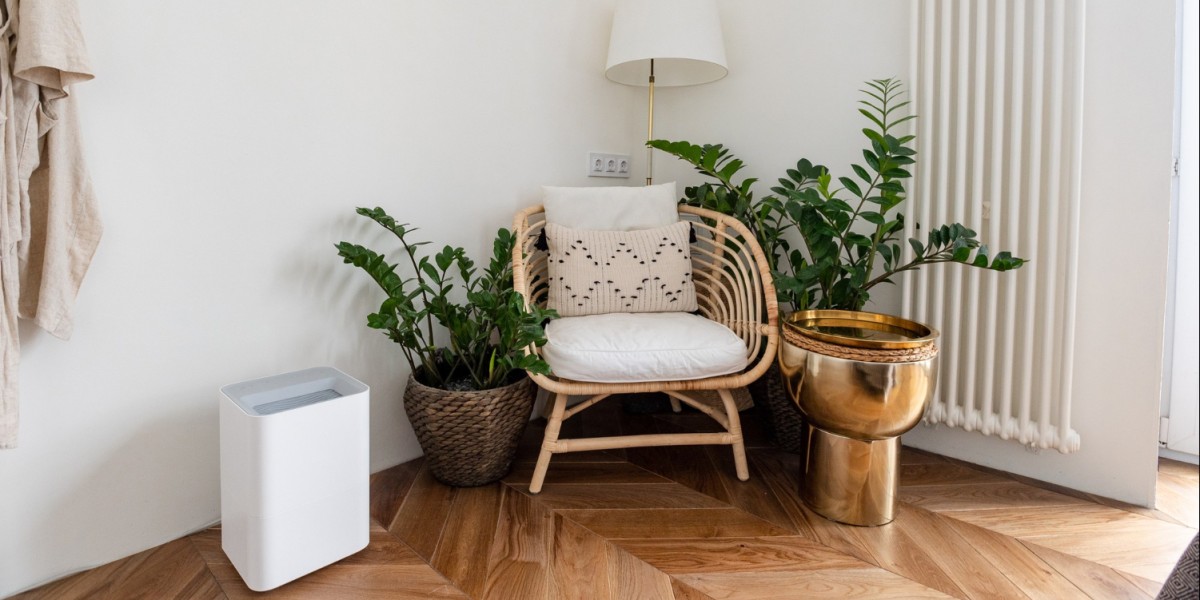 come scegliere il deumidificatore per la casa