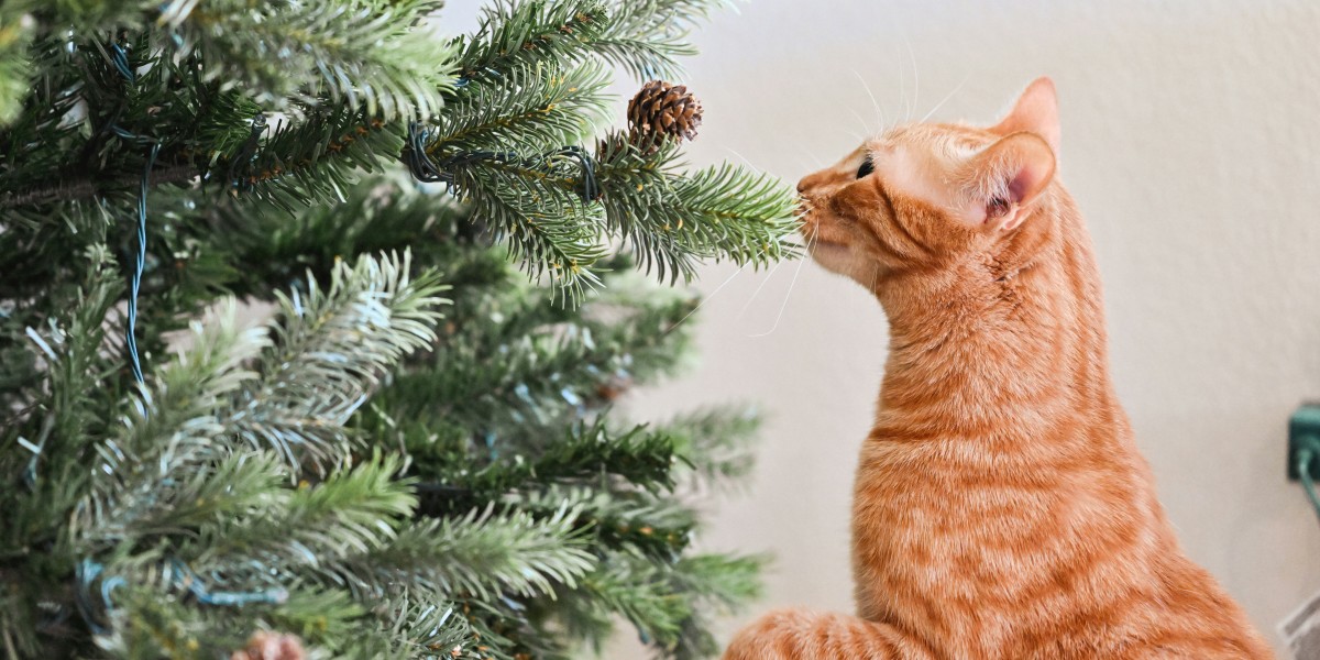 albero di Natale con un gatto in casa