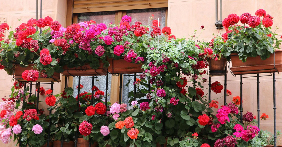 Balcone e privacy Balcone e privacy