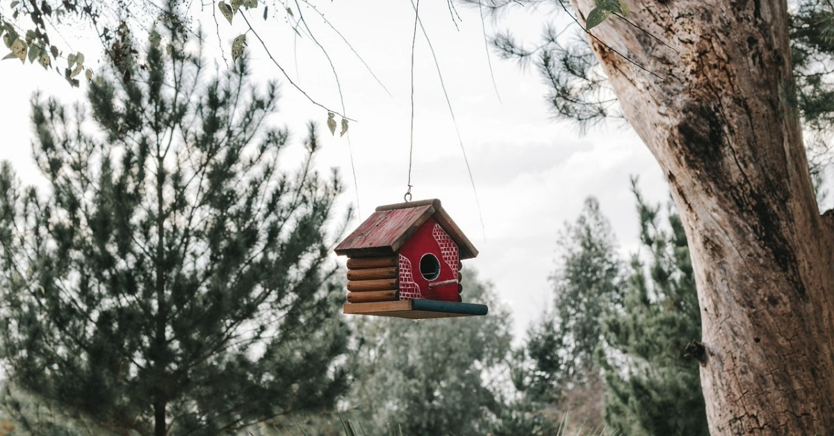 casetta per uccelli