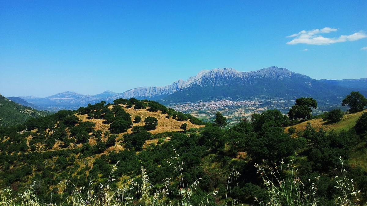 cosa vedere in barbagia