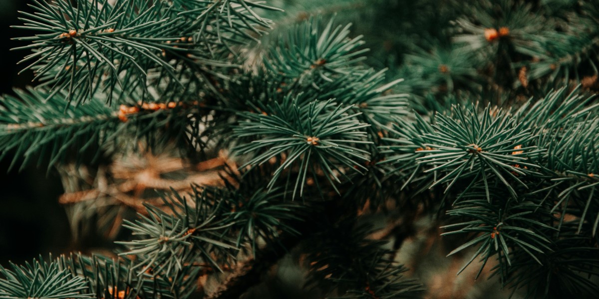 Come far sembrare pieno l'albero di Natale