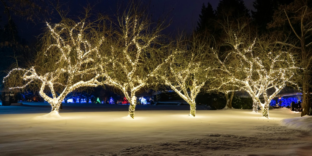 Cosa mettere in giardino a Natale