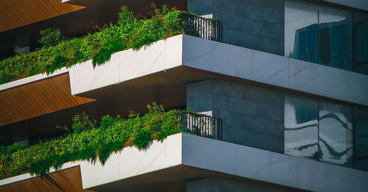 Privacy in balcone con le piante Privacy in balcone con le piante