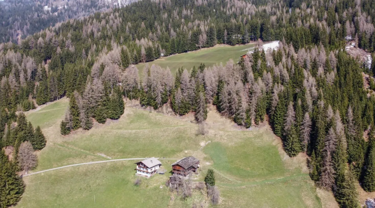 chalet