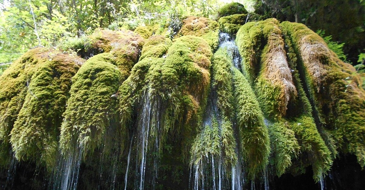 cascate capelli di venere cascate capelli di venere