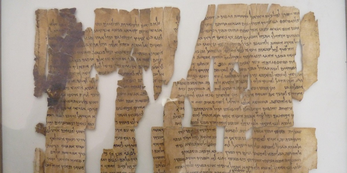 Biblioteca di Alessandria