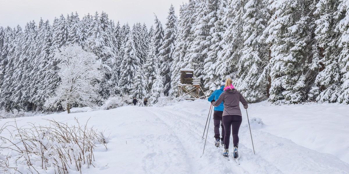 Sci di fondo a Tarvisio