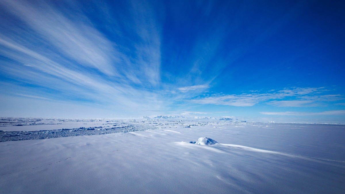 curiosità sui deserti