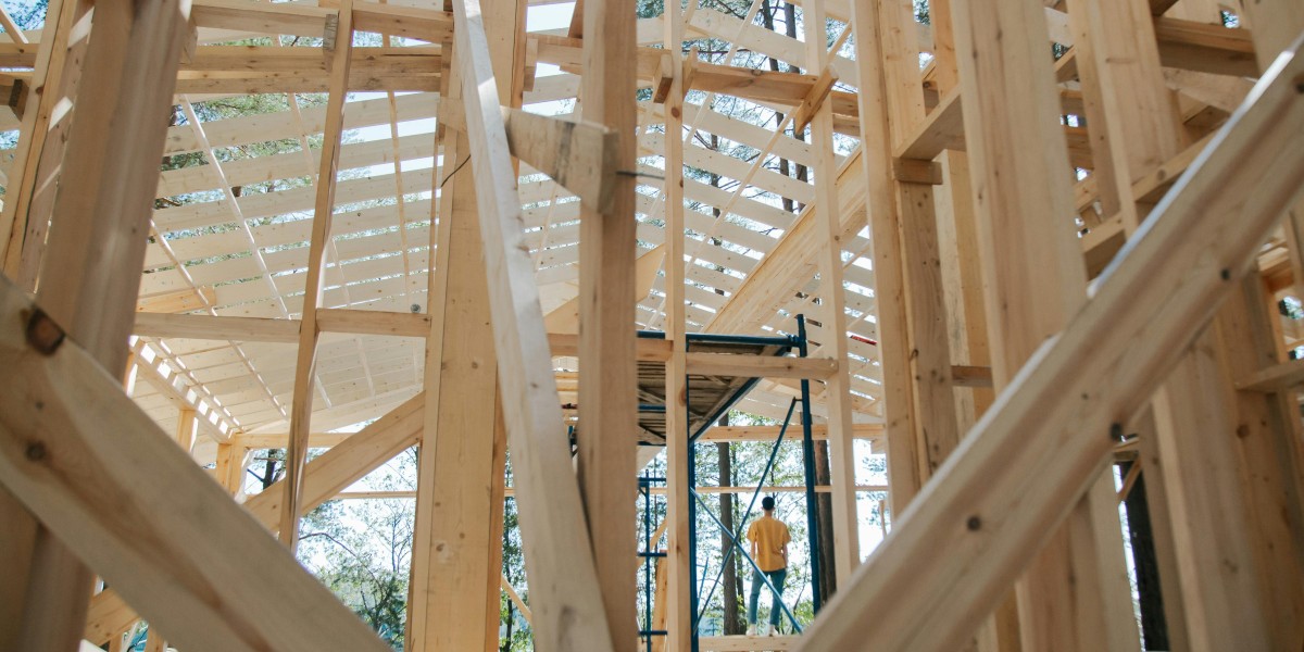 Perché le case americane sono fatte di legno