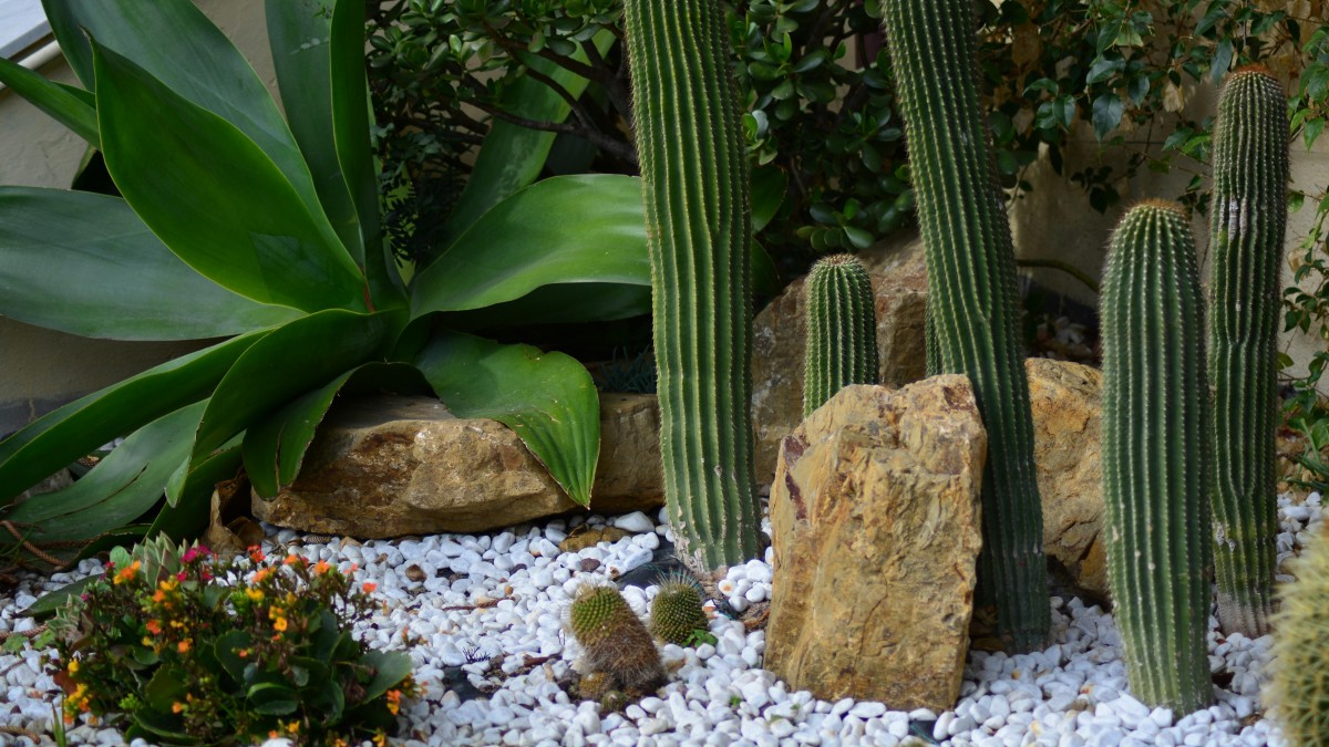 come mantenere i sassi bianchi in giardino