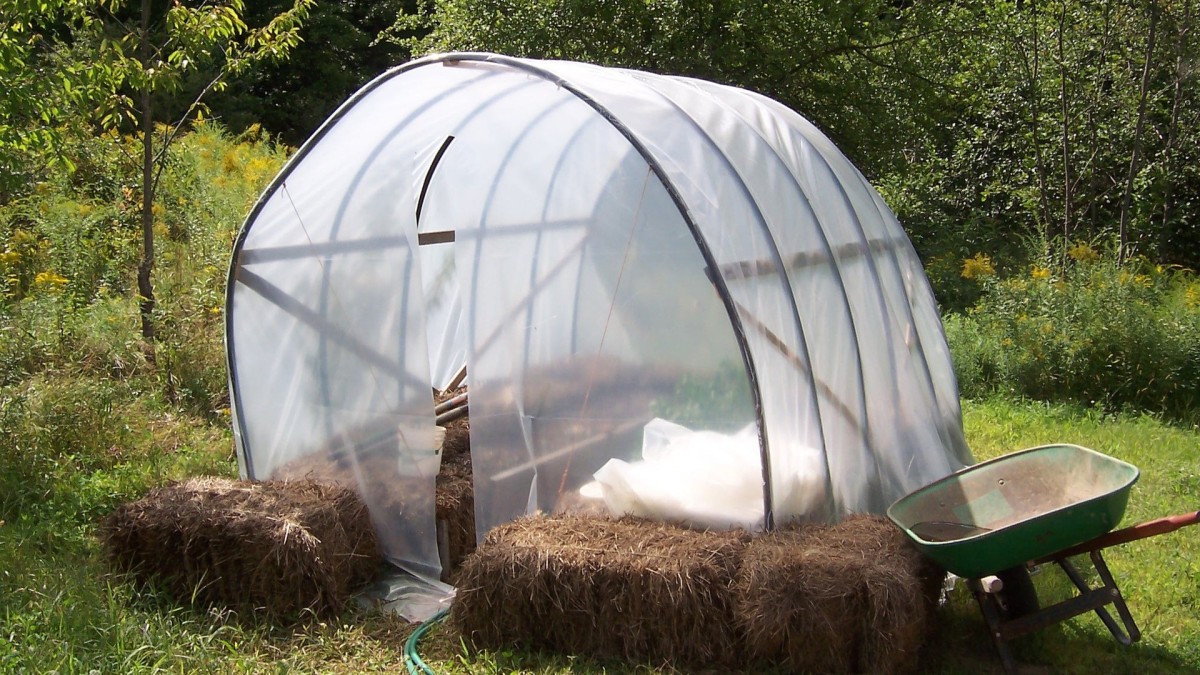 cosa piantare nell'orto a gennaio