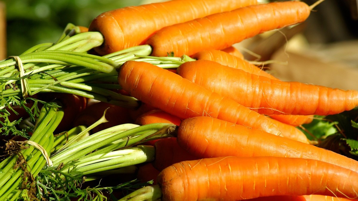 cosa piantare nell'orto a gennaio