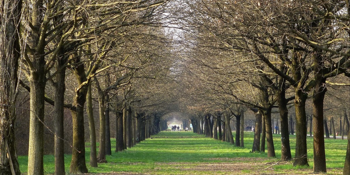 Dove vive Lucio Corsi