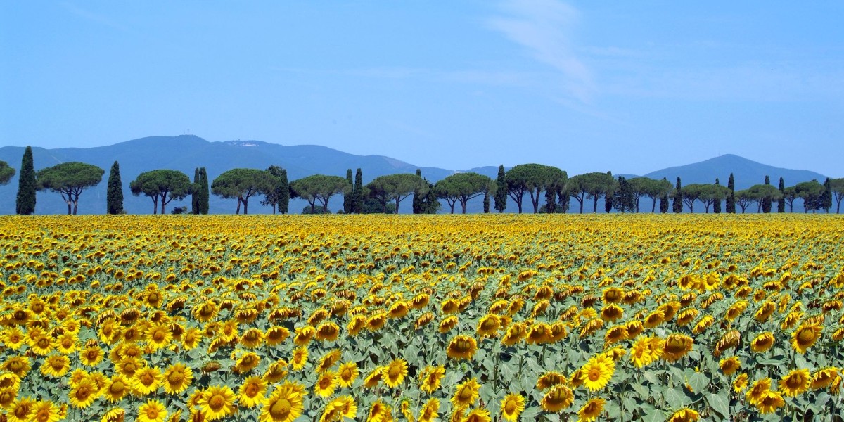 cosa vedere in Maremma