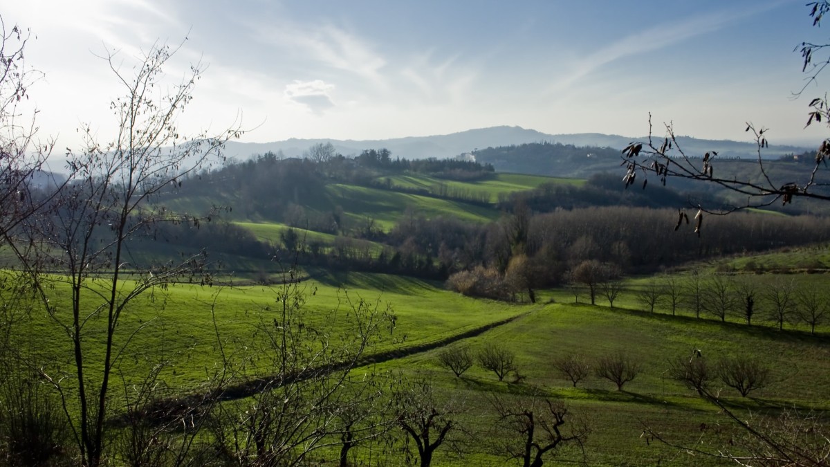 cosa fare a bologna a marzo 2025