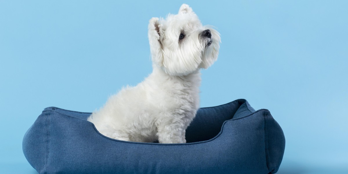 come lavare la cuccia del cane in lavatrice