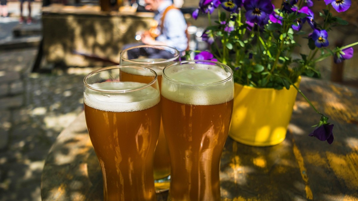quali piante concimare con il lievito di birra