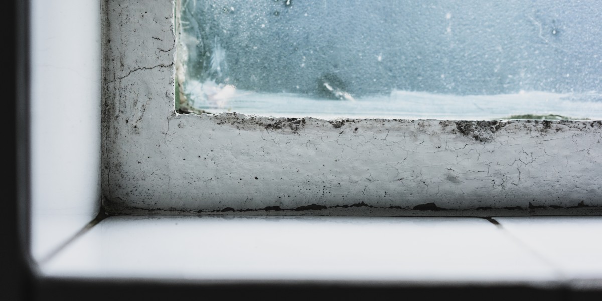 muffa e condensa in casa