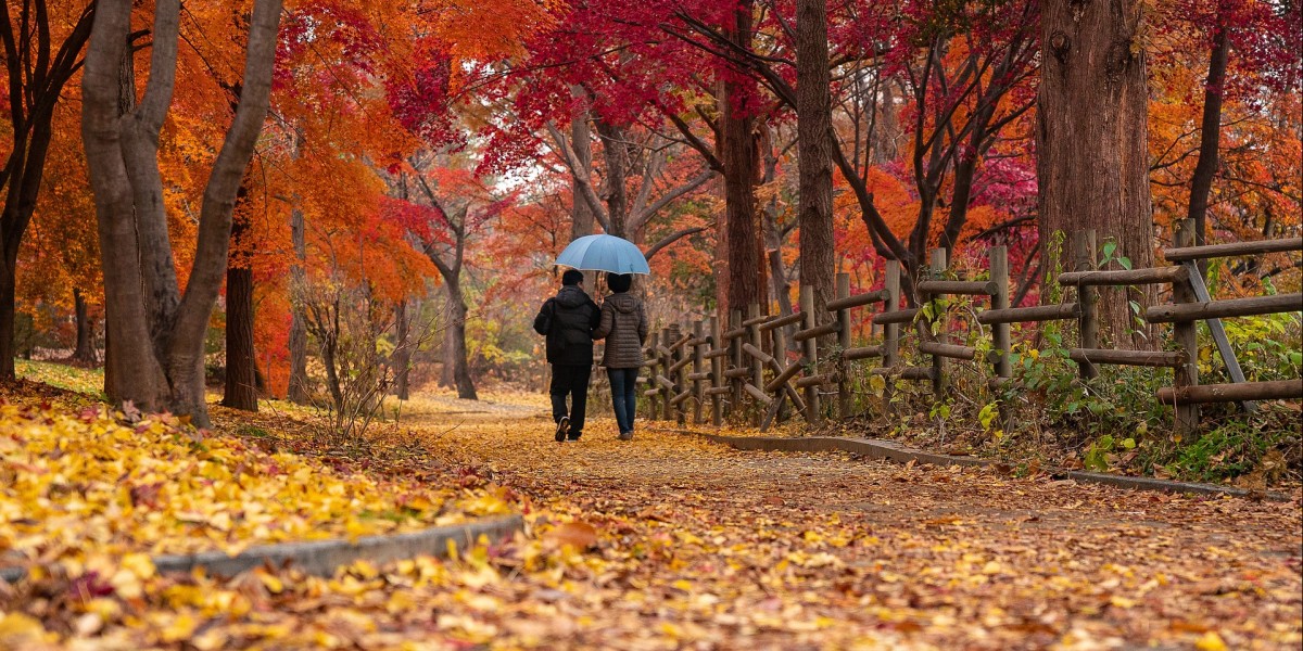 suggerimenti chatgpt per san valentino