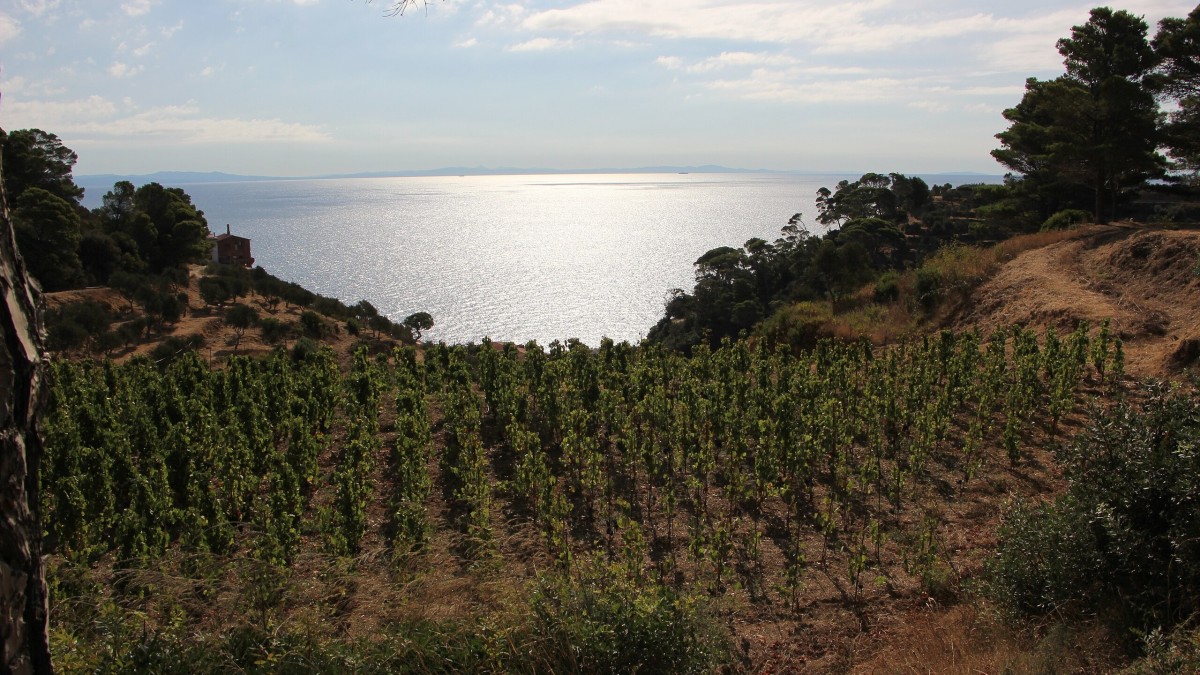 cosa vedere a gorgona