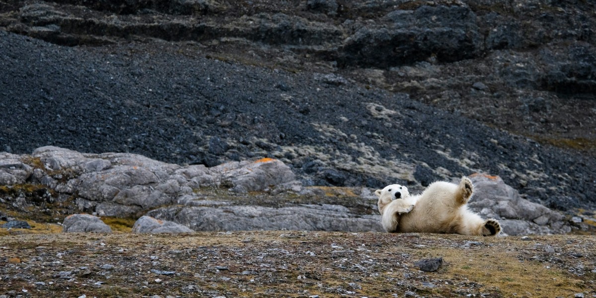 Longyearbyen Svalbard