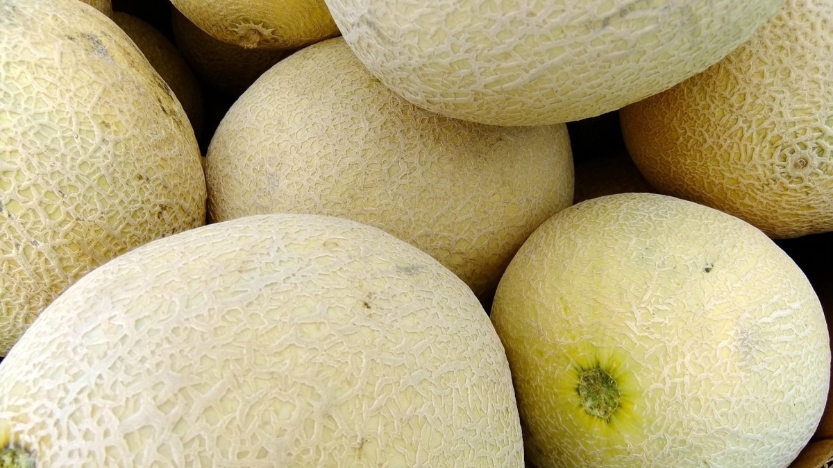 cosa piantare nell'orto a marzo