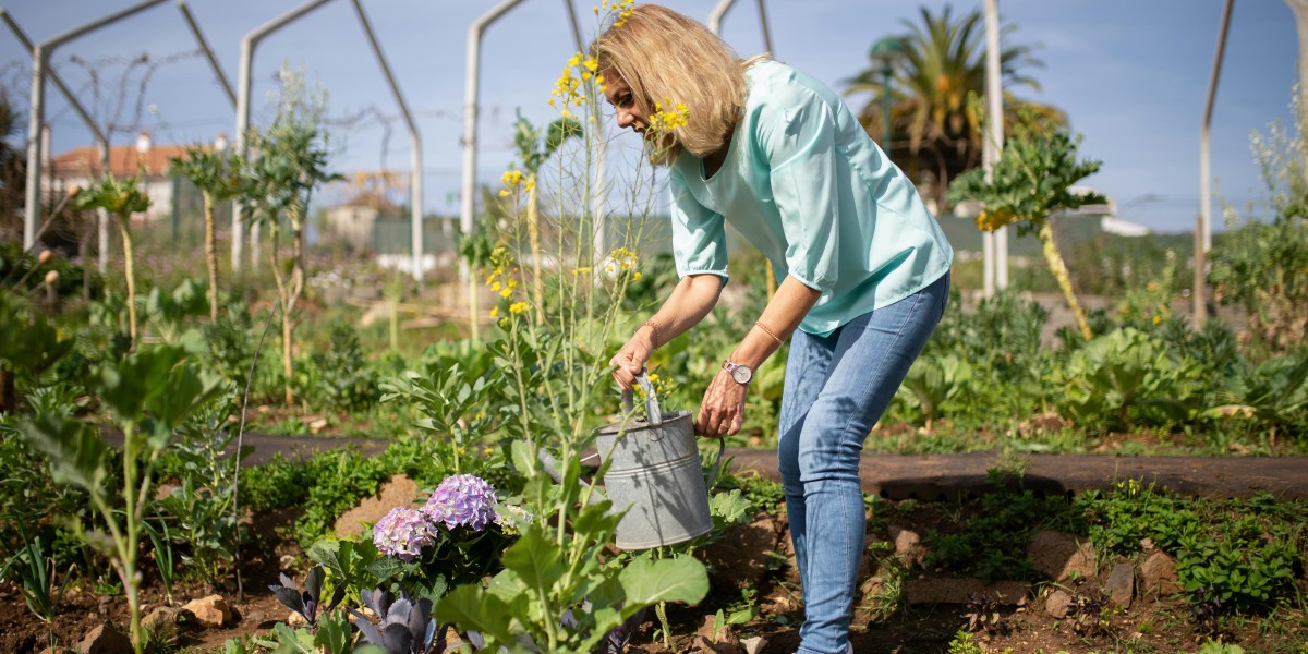 come andare a vivere nella valle degli elfi