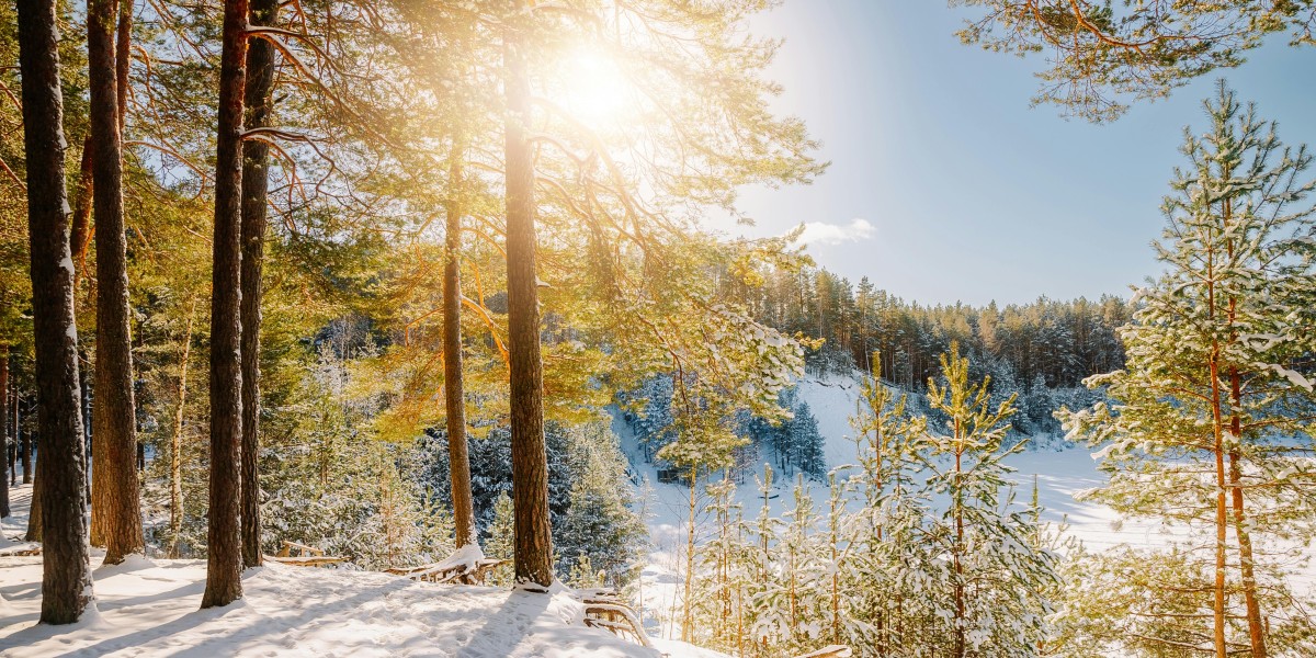Perché la Finlandia è il paese più felice del mondo