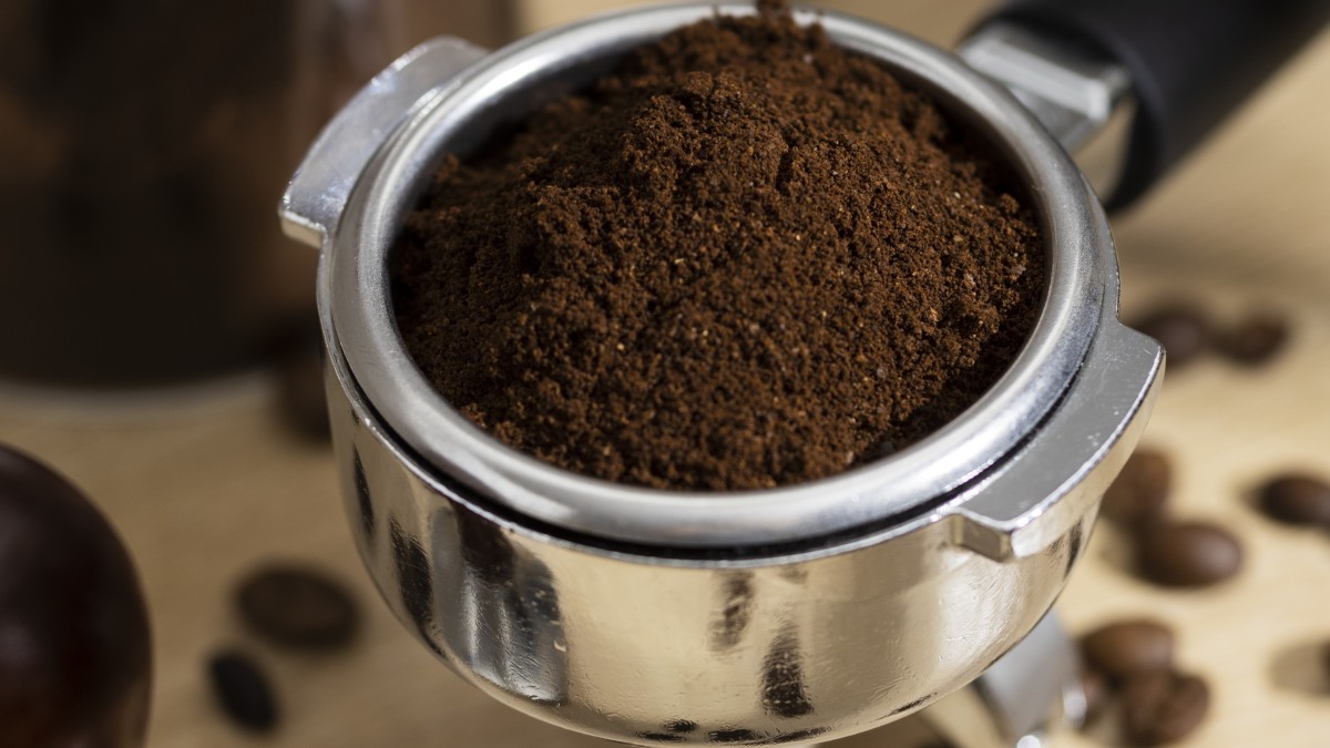 fondi di caffe concime