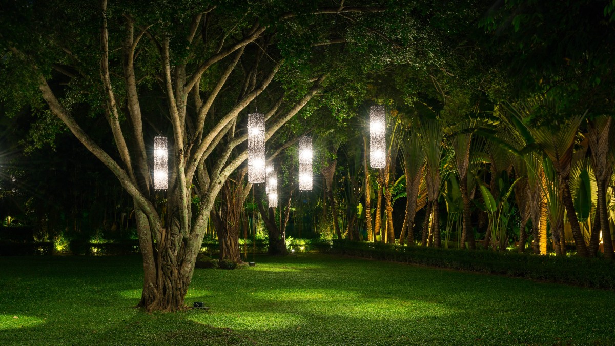 illuminare albero giardino