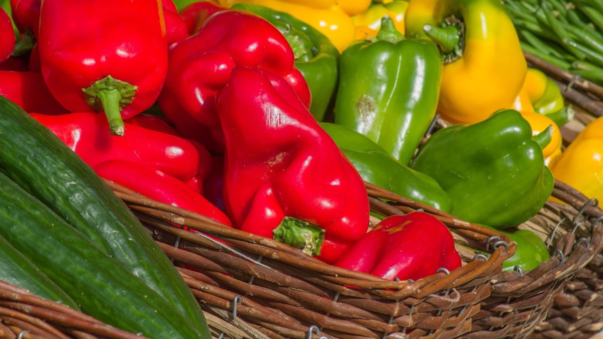cosa piantare nell'orto a marzo