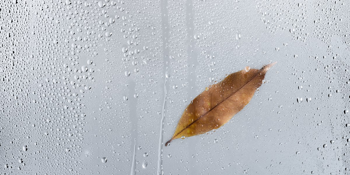 muffa e condensa in casa