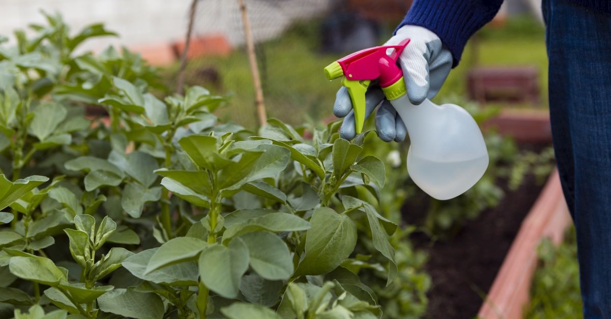 giardiniere che tratta le piante