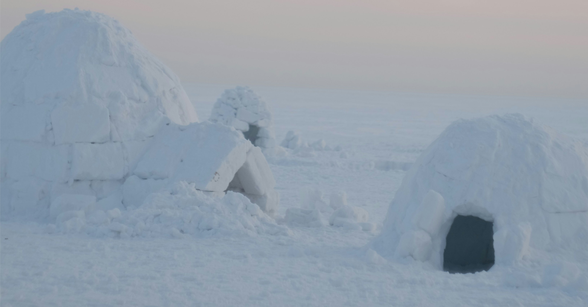 Un gruppo di Igloo