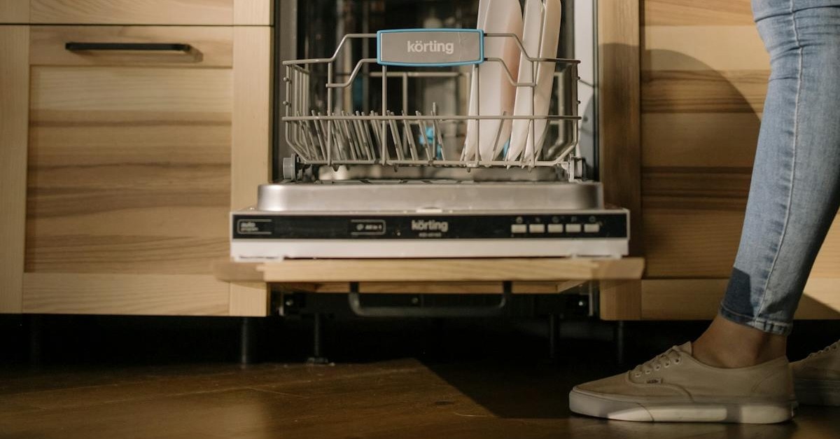 lavastoviglie in carica