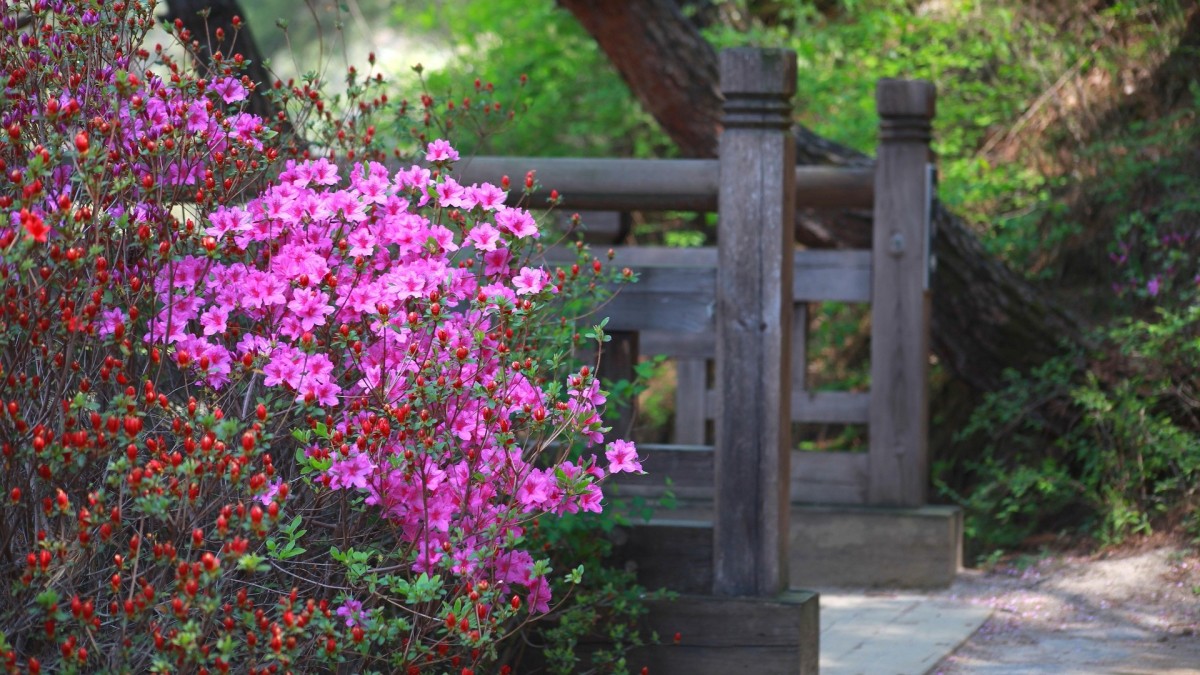 cosa piantare ad aprile