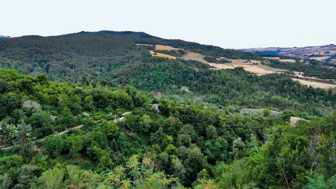 cosa vedere monti dauni