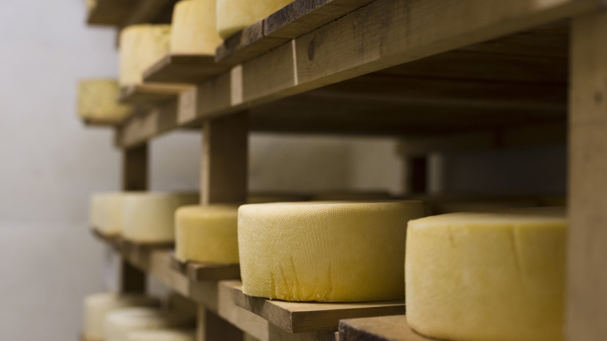 migliori formaggi abruzzo