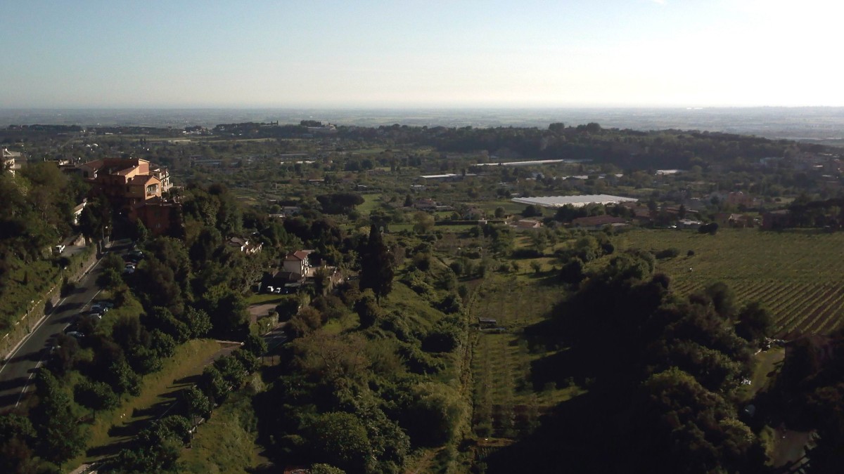 migliori vini del lazio