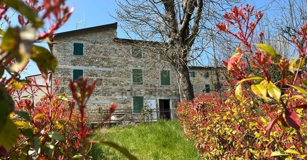 villa bifamiliare con giardino