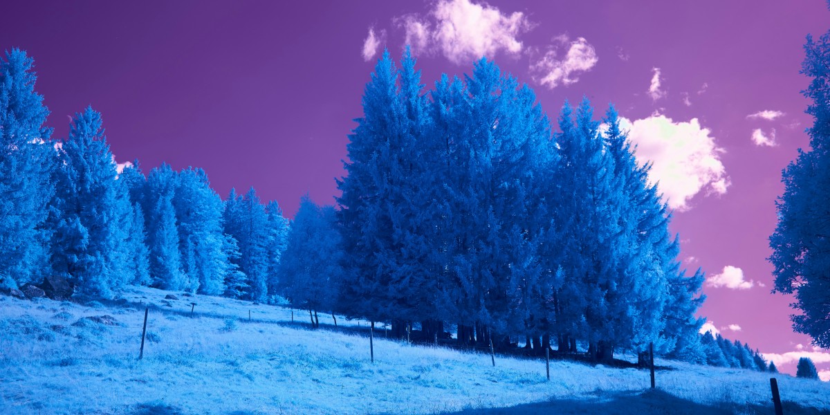 colori freddi quali sono