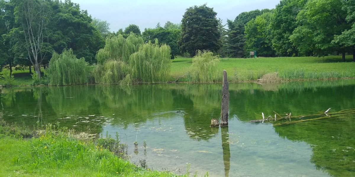 parchi e giardini torino