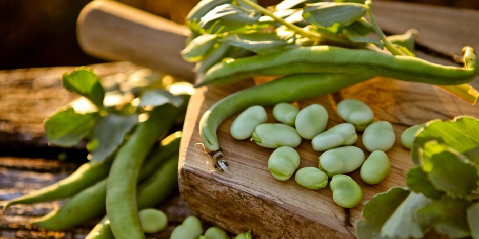 sagra dei piselli e fave di montegiordano