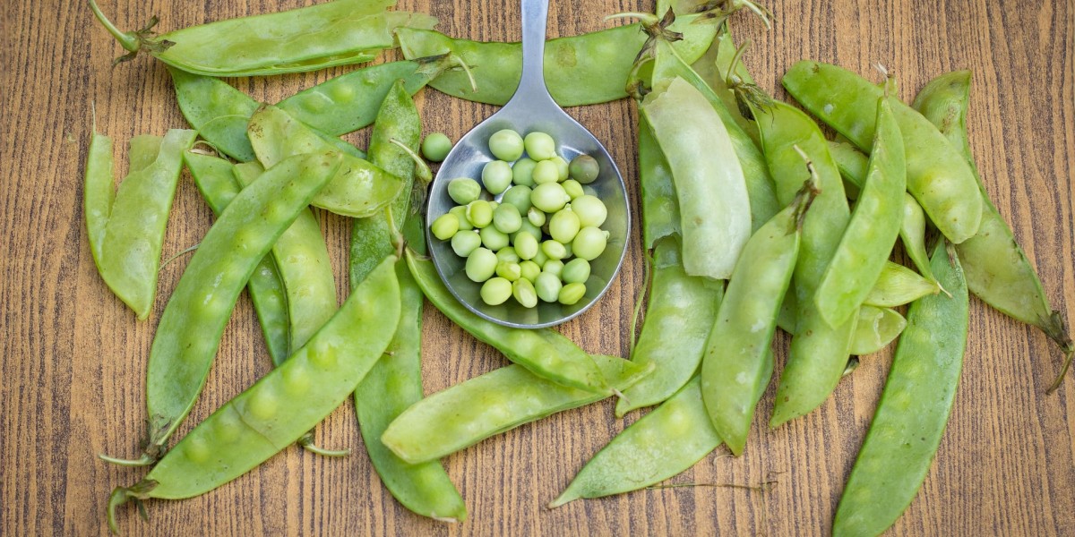 sagra dei piselli e fave di montegiordano